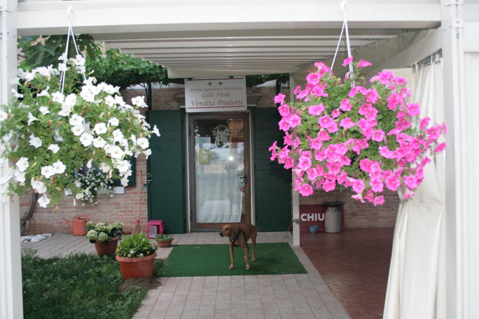 Locanda Antico Figher Villa Musile di Piave ภายนอก รูปภาพ